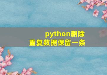 python删除重复数据保留一条