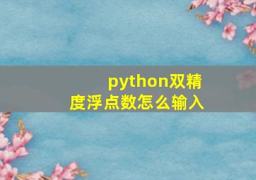 python双精度浮点数怎么输入