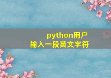 python用户输入一段英文字符