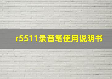 r5511录音笔使用说明书