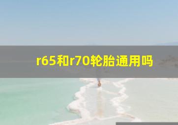 r65和r70轮胎通用吗