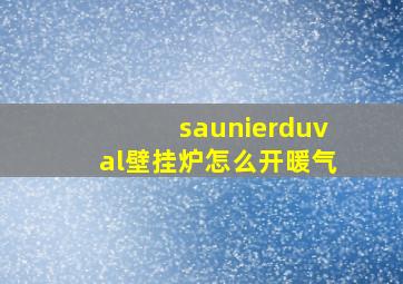 saunierduval壁挂炉怎么开暖气