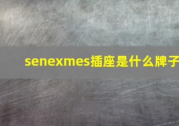 senexmes插座是什么牌子