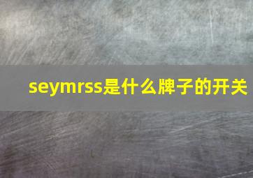 seymrss是什么牌子的开关