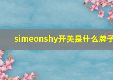 simeonshy开关是什么牌子