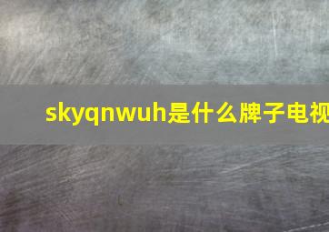 skyqnwuh是什么牌子电视