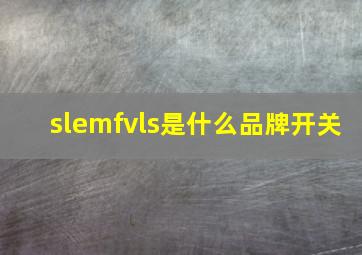 slemfvls是什么品牌开关