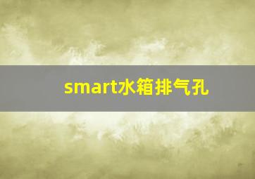 smart水箱排气孔