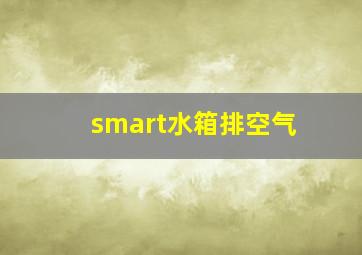 smart水箱排空气