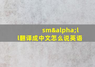 smαll翻译成中文怎么说英语