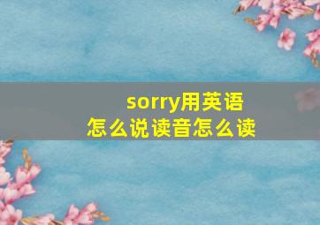 sorry用英语怎么说读音怎么读