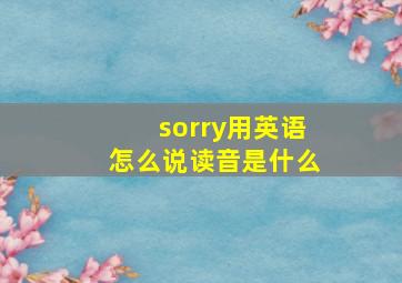 sorry用英语怎么说读音是什么