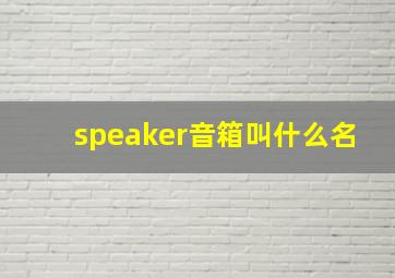 speaker音箱叫什么名