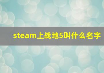 steam上战地5叫什么名字