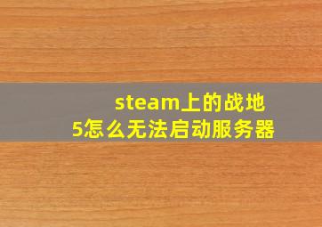 steam上的战地5怎么无法启动服务器