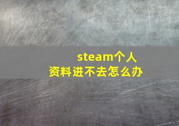 steam个人资料进不去怎么办