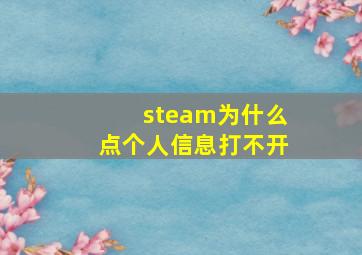 steam为什么点个人信息打不开