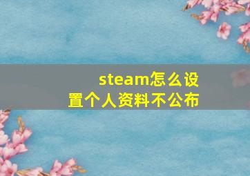 steam怎么设置个人资料不公布