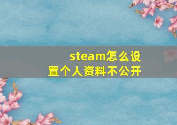 steam怎么设置个人资料不公开