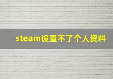 steam设置不了个人资料