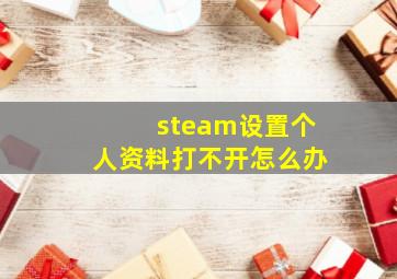 steam设置个人资料打不开怎么办