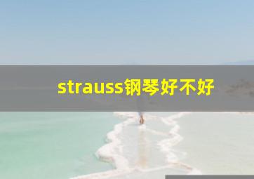 strauss钢琴好不好