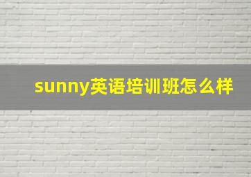 sunny英语培训班怎么样