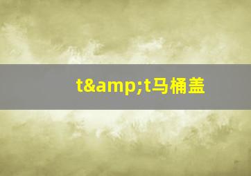 t&t马桶盖