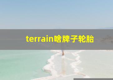 terrain啥牌子轮胎