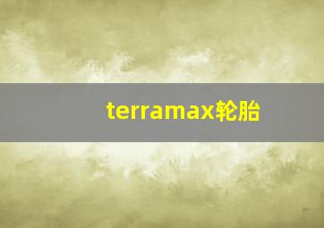 terramax轮胎