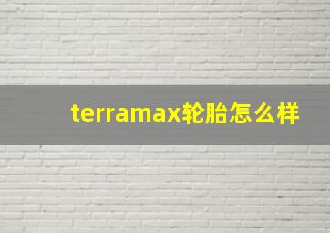 terramax轮胎怎么样