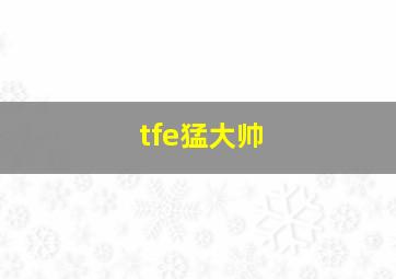 tfe猛大帅