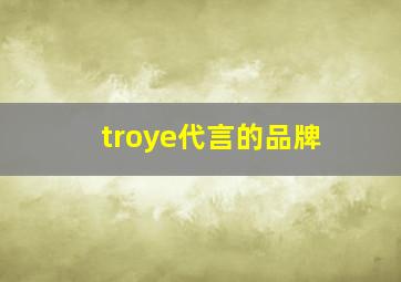 troye代言的品牌