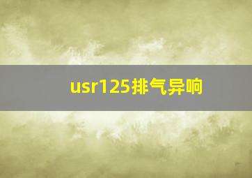 usr125排气异响