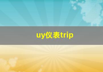 uy仪表trip