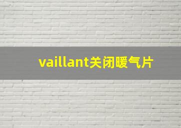 vaillant关闭暖气片