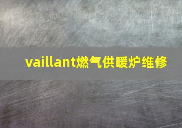 vaillant燃气供暖炉维修