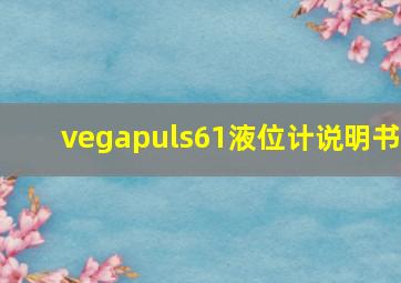 vegapuls61液位计说明书