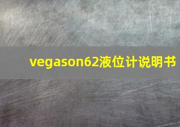 vegason62液位计说明书