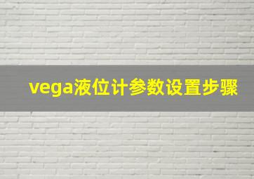 vega液位计参数设置步骤