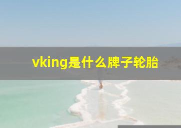 vking是什么牌子轮胎