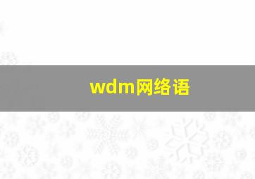 wdm网络语