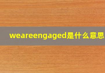 weareengaged是什么意思中文