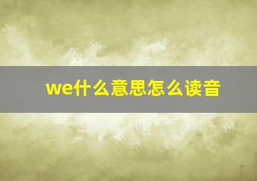 we什么意思怎么读音