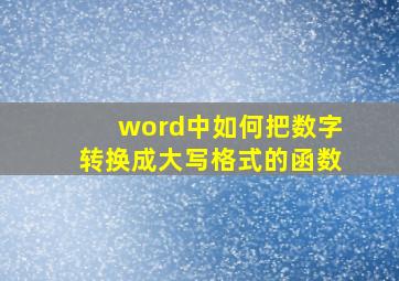 word中如何把数字转换成大写格式的函数