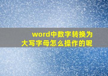 word中数字转换为大写字母怎么操作的呢