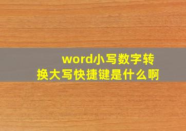 word小写数字转换大写快捷键是什么啊