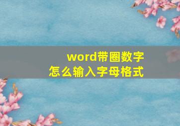 word带圈数字怎么输入字母格式