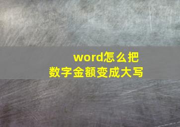 word怎么把数字金额变成大写