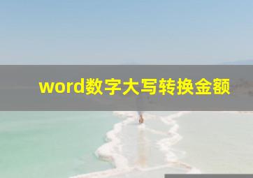 word数字大写转换金额